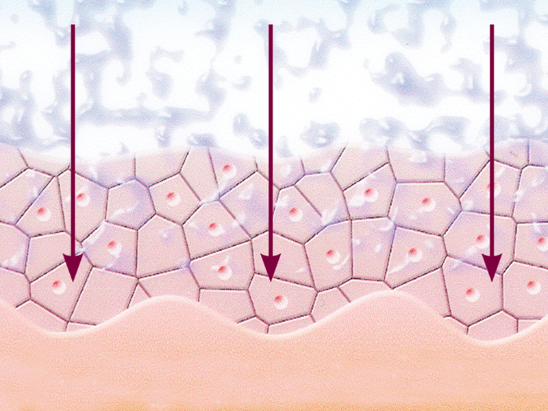 Wirkstoffe werden tief in die Haut gebracht.